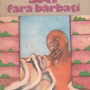 Lili Promet – Sat fără bărbați