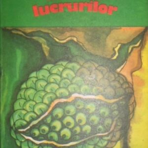 Graham Greene - Miezul lucrurilor