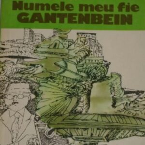 Max Frisch - Numele meu fie Gantenbein