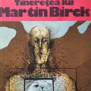 Hjalmar Soderberg - Tinerețea lui Martin Birck