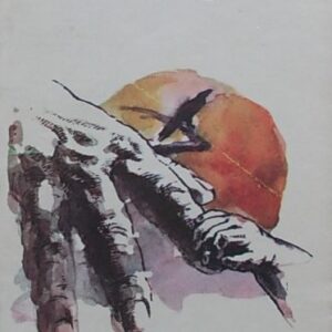 Horaccio Quiroga - Pasărea Yaciyatere