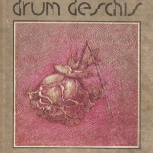 Arthur Schnitzler - Drum deschis
