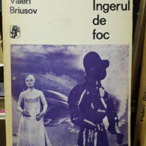 Valeri Briusov - Îngerul de foc