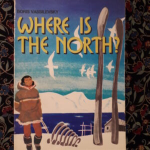 Boris Vassilevsky - Where is the north?