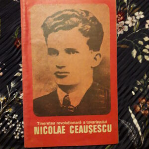 Olimpiu Matichescu - Tinerețea revoluționară a tovărașului Nicolae Ceaușescu