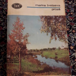 Marina Țvetaeva - Proză