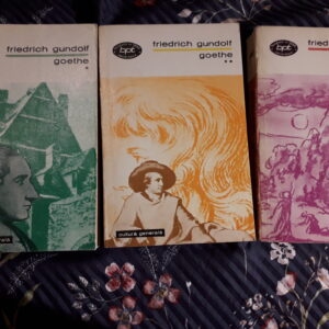 Friedrich Gundolf - Goethe