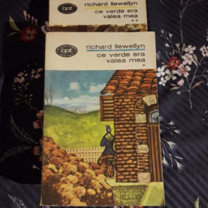 Richard Llewellyn - Ce verde era valea mea