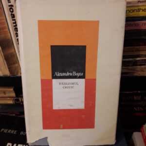 Alexandru Bogza - Realismul critic