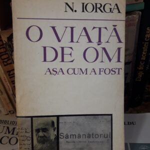 Nicolae Iorga - O viata de om