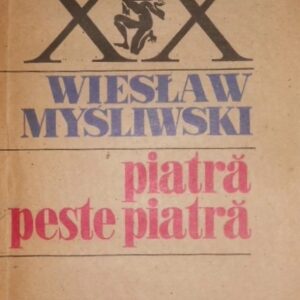 Wieslaw Misliwski - Piatră peste piatră