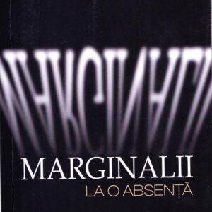 Ioan F. Pop - Marginalii la o absenta