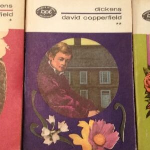 Charles Dickens - David Copperfield