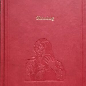 Stephen King - Shining