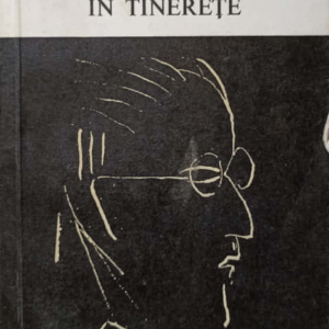 James Joyce - Portretul artistului la tinerețe