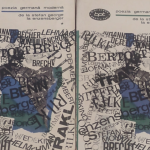 Poezia germană modernă (De la Stefan George la Enzensberger)