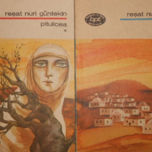 Resat Nuri Guntekin - Pitulicea