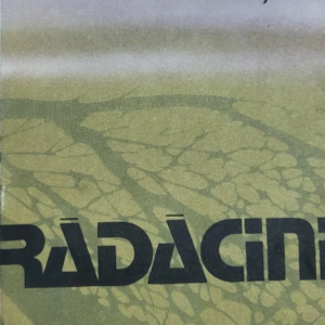 Alex Haley - Radacini