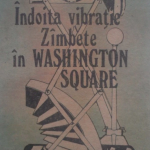 Raymond Federman - Indoita vibratie. Zambete in Washington Square